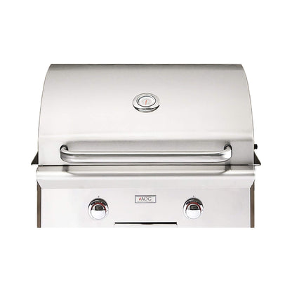 American Outdoor Grill T-Series 24-Inch 2-Burner Built-In Natural Gas Grill [24NBT-00SP] (SAK58391)